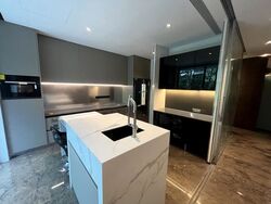 Nassim Park Residences (D10), Condominium #504957921